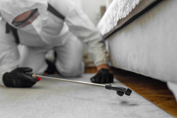 Professional Bed Bug Control technician working in Hansville, WA