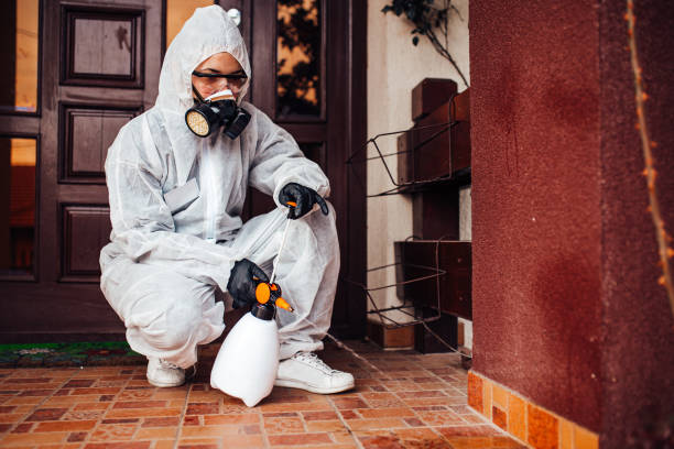 Reliable Bed Bug Control contractor in Hansville, WA by Nex Pest Control