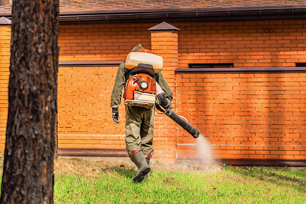Trusted Emergency Pest Control service in Hansville, WA - Nex Pest Control